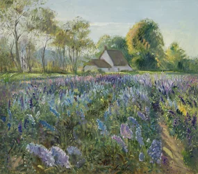 Oktober delfiniums